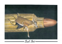 blackbuckshot800